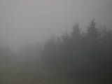 17 : 36