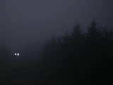 06 : 44