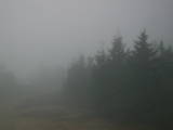 07 : 48