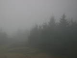 08 : 06