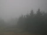 08 : 14