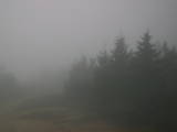 08 : 20