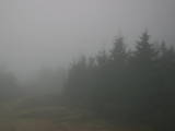 08 : 32