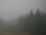 08 : 42