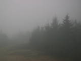 08 : 46