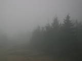 08 : 50