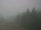 08 : 54