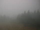 10 : 24