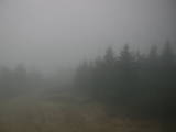 16 : 24