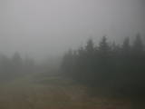 16 : 40