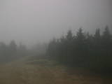 16 : 52