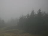 17 : 08