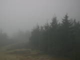 17 : 12