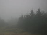 17 : 16