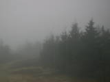 17 : 20