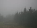17 : 28