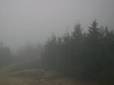 17 : 36