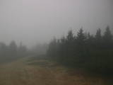 15 : 20