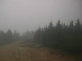16 : 12