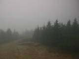 16 : 20