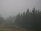 16 : 48