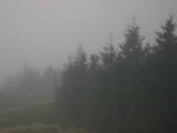 17 : 16