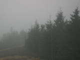 17 : 18