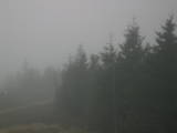 17 : 20