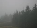 17 : 22