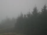 17 : 24