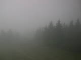 15 : 04