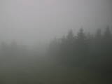 16 : 12