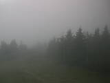 19 : 08