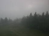 19 : 16