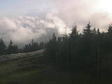 19 : 48