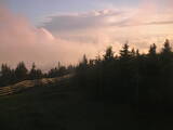 20 : 32