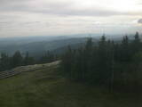 19 : 20