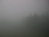 12 : 12