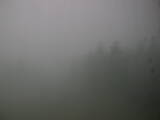 12 : 24