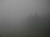 12 : 36
