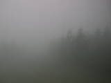 13 : 00