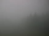 13 : 04