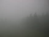 13 : 08