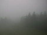 13 : 12