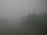 13 : 48