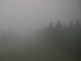 14 : 04
