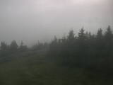 18 : 20