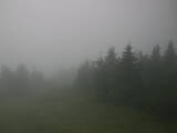 08 : 20