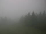 08 : 44