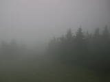 09 : 24